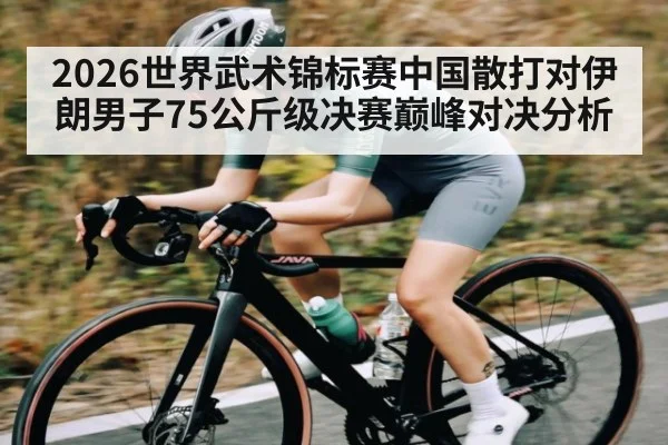 2026世界武术锦标赛中国散打对伊朗男子75公斤级决赛巅峰对决分析